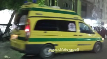 وفاة طفل وإصابة سائق جراء حادث انقلاب تروسيكل في بحر عروس بالفيوم