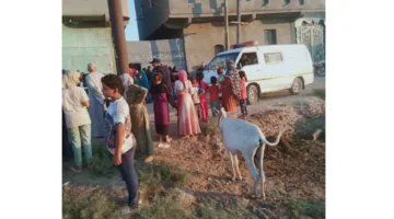 وفاة وإصابة أربعة أفراد جراء سقوطهم في مستنقع مائي بالفيوم
