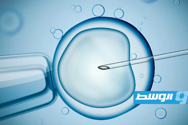 ولادة أكبر رضيع عالمي من جنين تم تجميده منذ 1994 ولادة أكبر رضيع عالمي من جنين تم تجميده منذ 1994