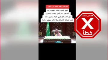 ولي العهد السعودي يمنح إسرائيل مهلة 24 ساعة لفتح الممرات الإنسانية إلى غزة، محذراً من رد فعل قوي في حال عدم الامتثال: النهار تحقق FactCheck.