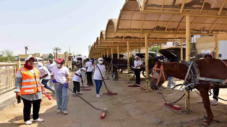 “يوم لإحياء حب مصر” .. مبادرة لتنظيف مناطق الحنطور في الأقصر