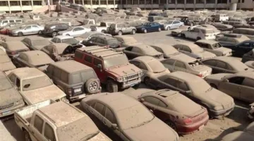 13 مليون جنيه إجمالي إيرادات مزاد لسيارات وبضائع في جمارك بورسعيد