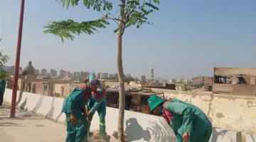وزيرة التنمية المحلية تراقب سير العمل في المرحلة الرابعة لمبادرة زراعة 100 مليون شجرة