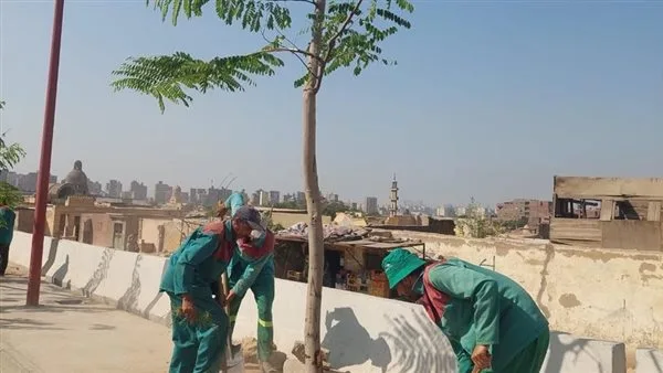 وزيرة التنمية المحلية تراقب سير العمل في المرحلة الرابعة لمبادرة زراعة 100 مليون شجرة وزيرة التنمية المحلية تراقب سير العمل في المرحلة الرابعة لمبادرة زراعة 100 مليون شجرة