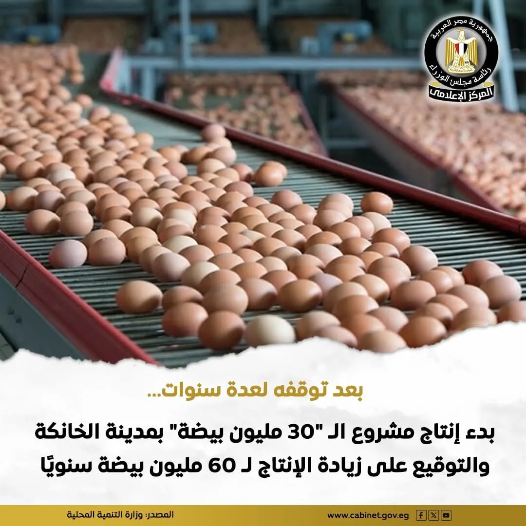 إعادة تفعيل مشروع إنتاج البيض بطاقة 60 مليون بيضة سنويًا لتعزيز استقرار السوق إعادة تفعيل مشروع إنتاج البيض بطاقة 60 مليون بيضة سنويًا لتعزيز استقرار السوق