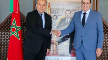 مصر والمغرب تناقشان تطوير التعاون في مجالات النقل واللوجستيات وتنفيذ الاتفاقات المشتركة.