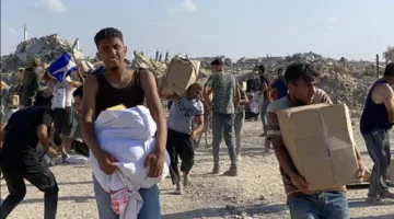 29 شهيداً إثر نيران جيش الاحتلال في غزة منذ صباح اليوم