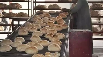 التموين توضح الحقيقة بشأن استئناف توزيع الخبز المدعوم بشكل ورقي