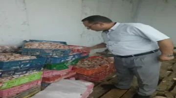 “الجيزة”: ضبط 4.5 طن من الدواجن والمنتجات غير القابلة للاستهلاك البشري في أوسيم