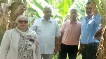 الزراعة تمنح 384 ترخيصًا لصوبات ومشاتل في أغسطس