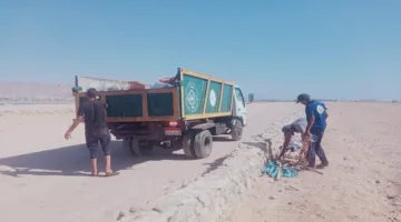 دهب تتألق.. حملة لتنظيف شواطئ اللاجونا وزيادة الوعي بين الزوار (صور)